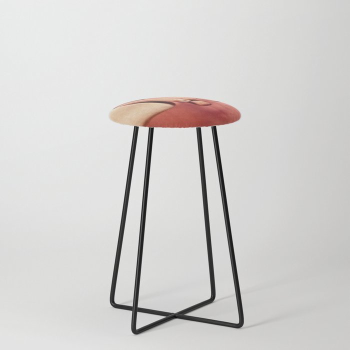 Bragging Rights Counter Stool
