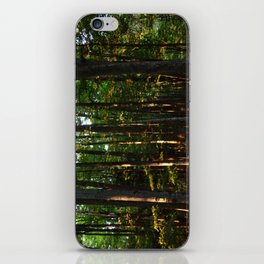 Forest // Sunset Effect iPhone Skin