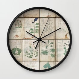 The Voynich Manuscript Quire 1 - Natural Wall Clock | Folio, Herbal, Hidden, 15Th, Flowers, Unsolved, Century, Renaissance, Ancient, Garden 