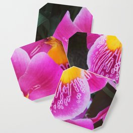 Pansy Orchid Coaster