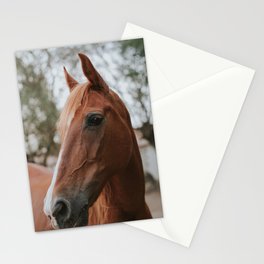 Brown Noble Horse Stationery Card