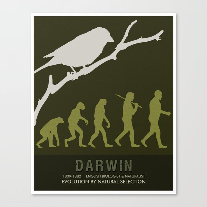 Science Posters - Charles Darwin - Biologist, Naturalist Canvas Print