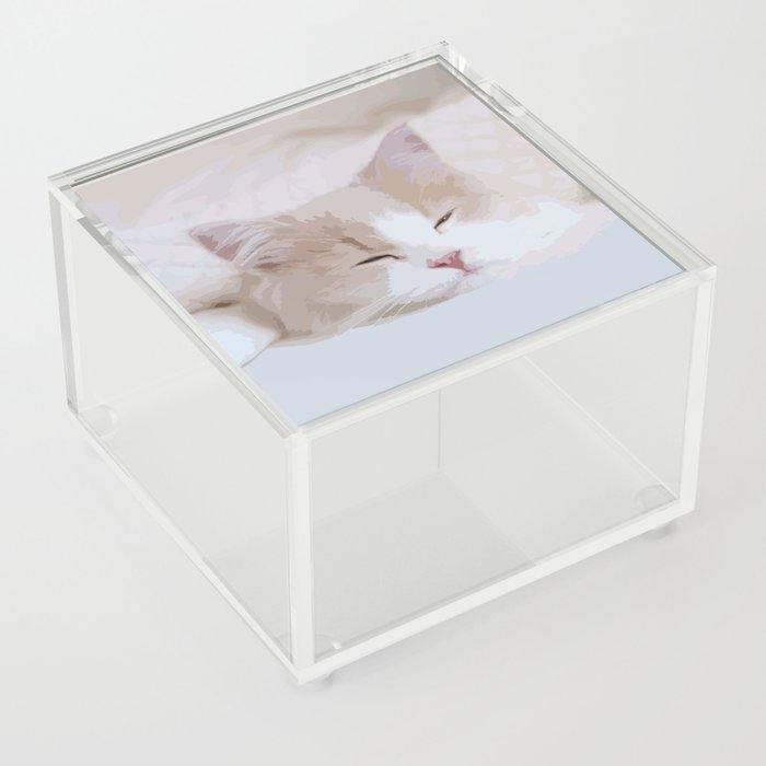 omochi cat illustrates version Acrylic Box