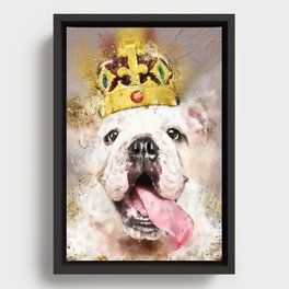 English Bulldog with Gold Royal Crown Framed Canvas