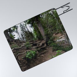 Roots on Mountainside, Colorado Picnic Blanket