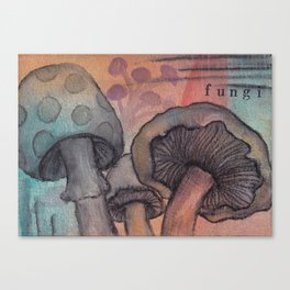 Fungi Canvas Print