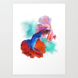 Betta Fish pair Art Print