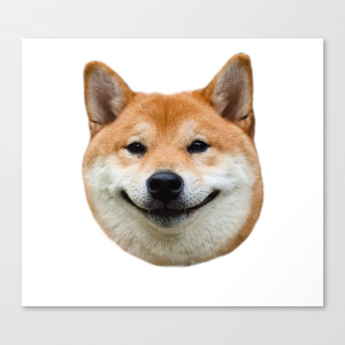 Shiba Smile Canvas Print