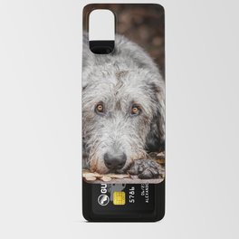 Irish Wolfhound lies on the pad with fallen autumn leaves. Android Card Case
