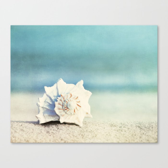 Seashell on Beach Photography, Aqua Blue Shell Coastal Photo, Teal Turquoise Ocean Seashore Canvas Print