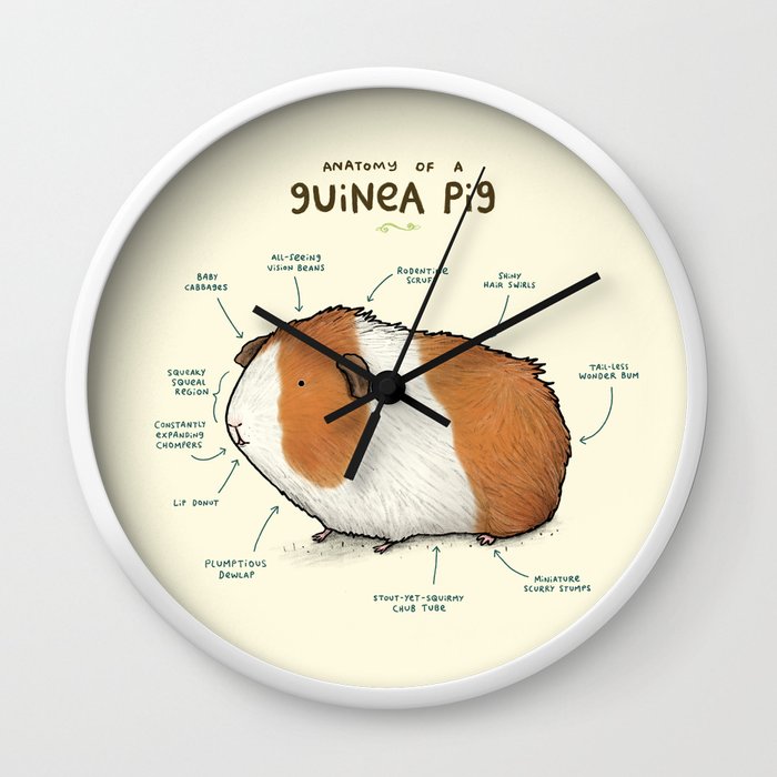 Guinea Pig Wall Clock P5 