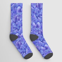 Hydrangea blue Socks