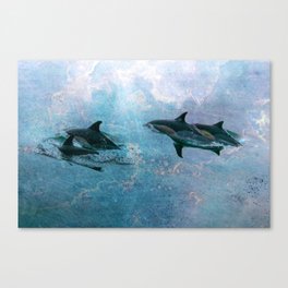 Transcending the Ocean Canvas Print