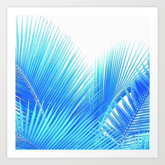 Winter Palm Art Print