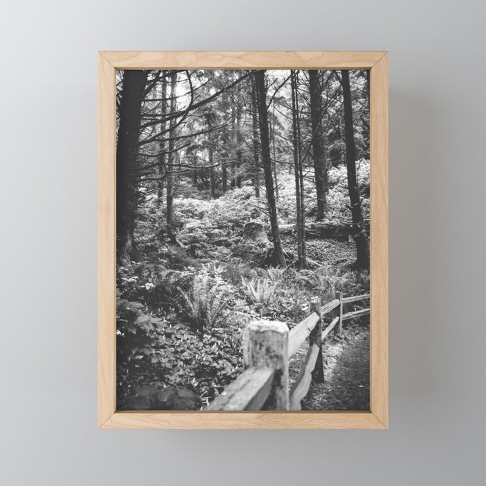 PNW Forest | Black and White Photography | Oregon Nature Framed Mini Art Print