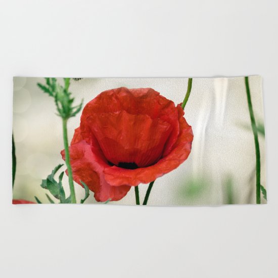 Red poppy Beach Towel