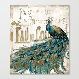 Peacock Jewels Canvas Print
