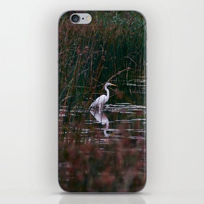 Great Egret iPhone Skin