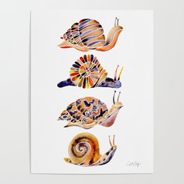 Snail Collection Poster
