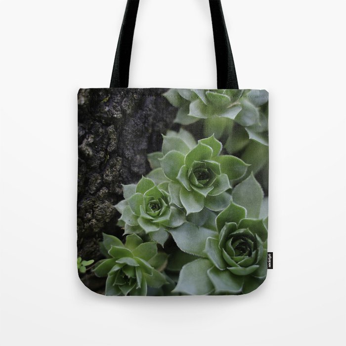 Succulent _002 Tote Bag