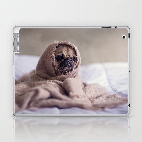 Snug pug in a rug Laptop & iPad Skin