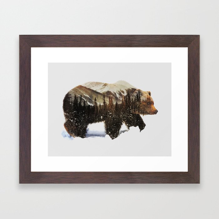 Arctic Grizzly Bear Framed Art Print