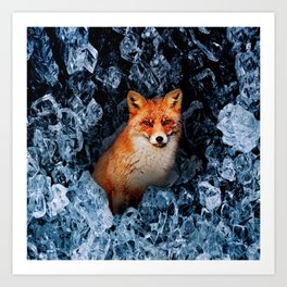 Cold as Fox Art Print