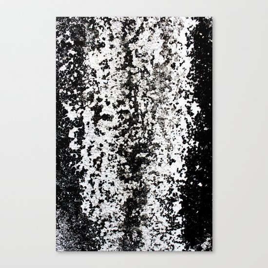 River Canvas Print