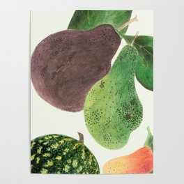 Fruit Medley Poster