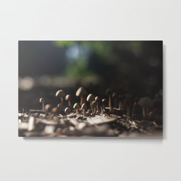 Little Mushroom Metal Print