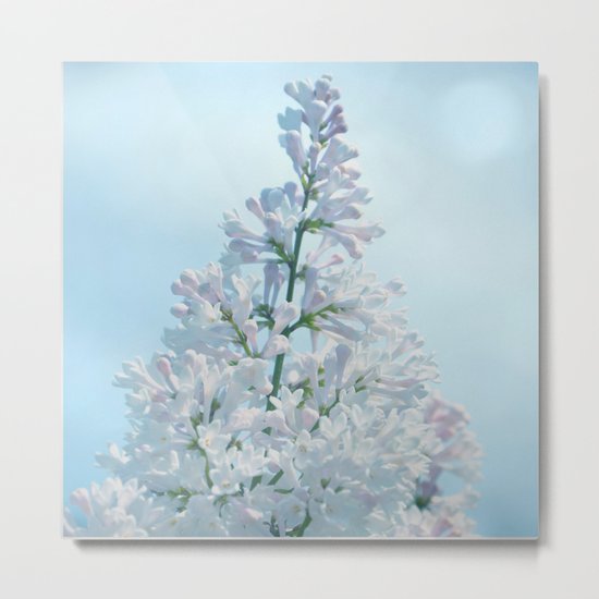 SOFT BLUE LILAC Metal Print