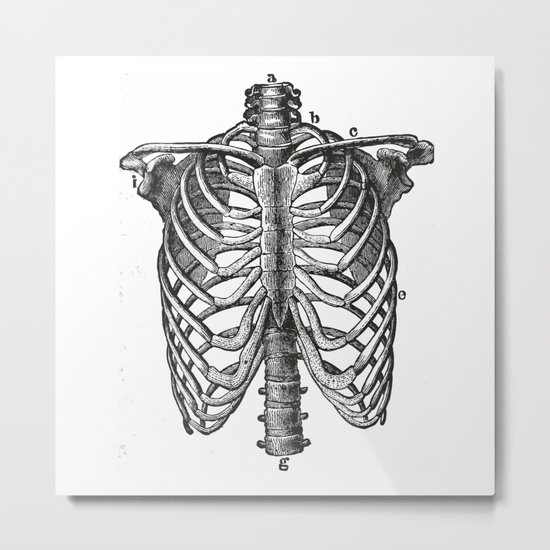 Ribcage Metal Print