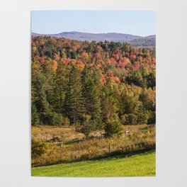 Fall into Vermont Leaves Poster