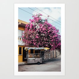 Mexico XII Art Print | Floral, Photo, Color, Travelphotography, Vacation, Mexico, Foodcart, Street, Streetphotography, Travel 