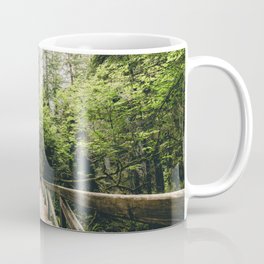 Forest Meditation - Redwood National Park Hiking Mug