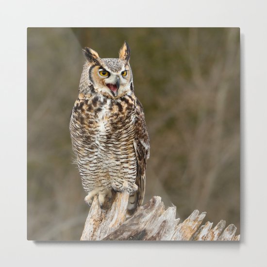 Bad Attitude Metal Print
