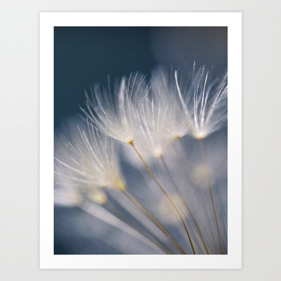 soft lights Art Print