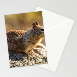 Ground Squirrel  Stationery Card