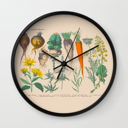 Root Vegetables German Language Scientific Vegetable Plant Illustration Labeled Diagram Wall Clock