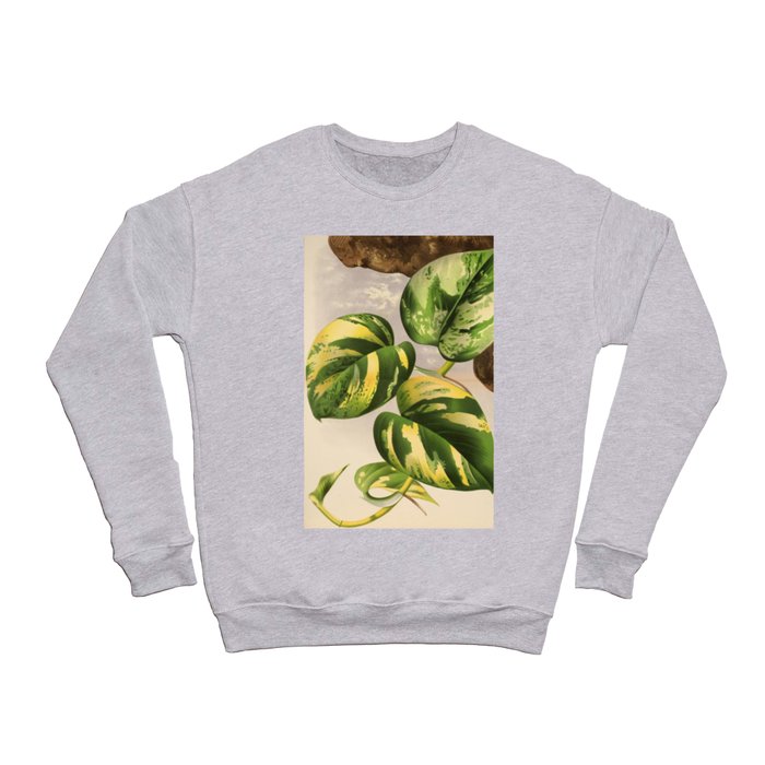 Pothos Plant Crewneck Sweatshirt