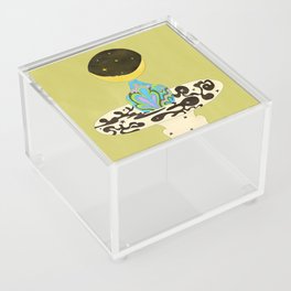 Moon Vase Acrylic Box