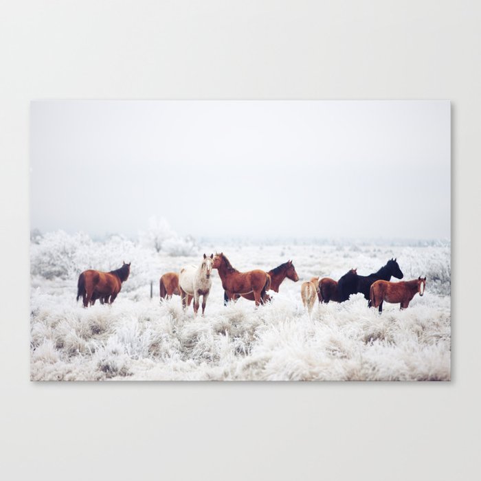 Winter Horseland Canvas Print