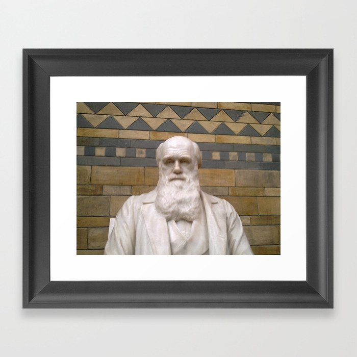 Charles Darwin Framed Art Print