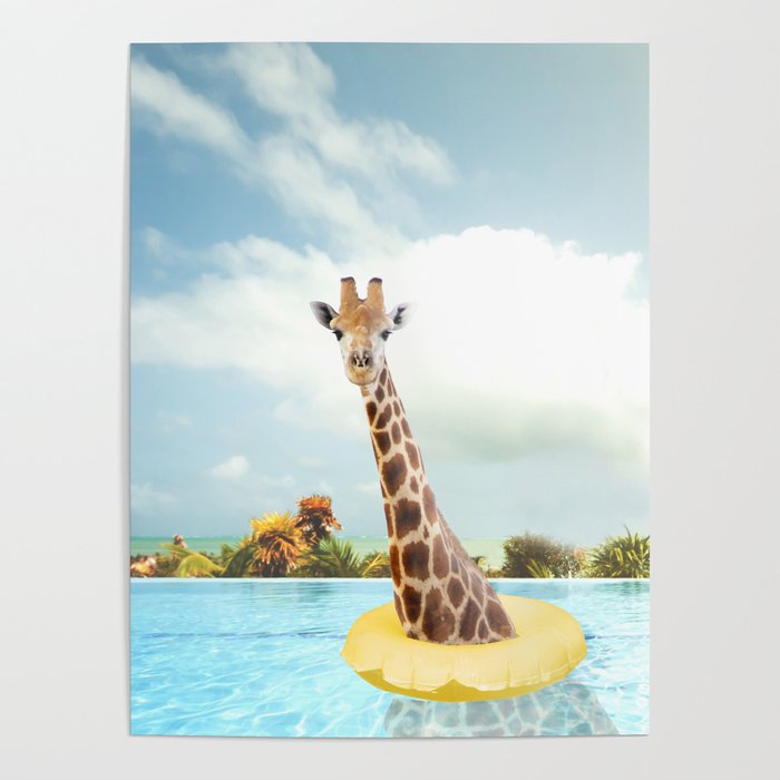 The giraffe is swimming in the pool Poster