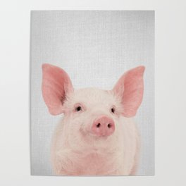 Pig - Colorful Poster