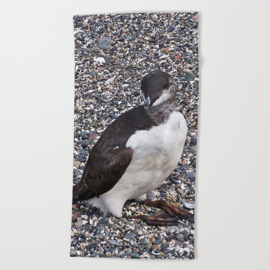 Razorbill Walking on the Beach Beach Towel