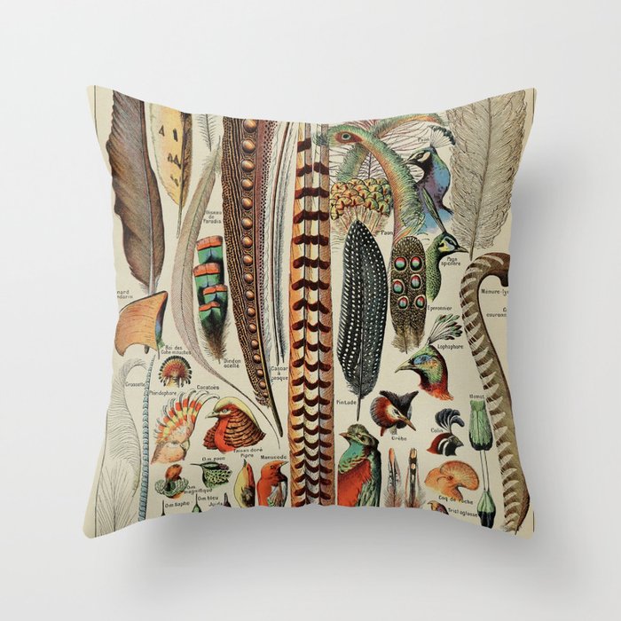 Feathers (Plumes) Vintage French Poster by Adolphe Millot Throw Pillow