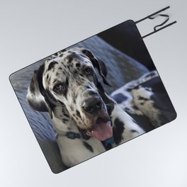 Great Dane on Sofa Picnic Blanket