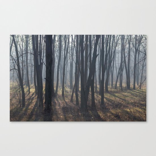 Fog Autumn forest Canvas Print