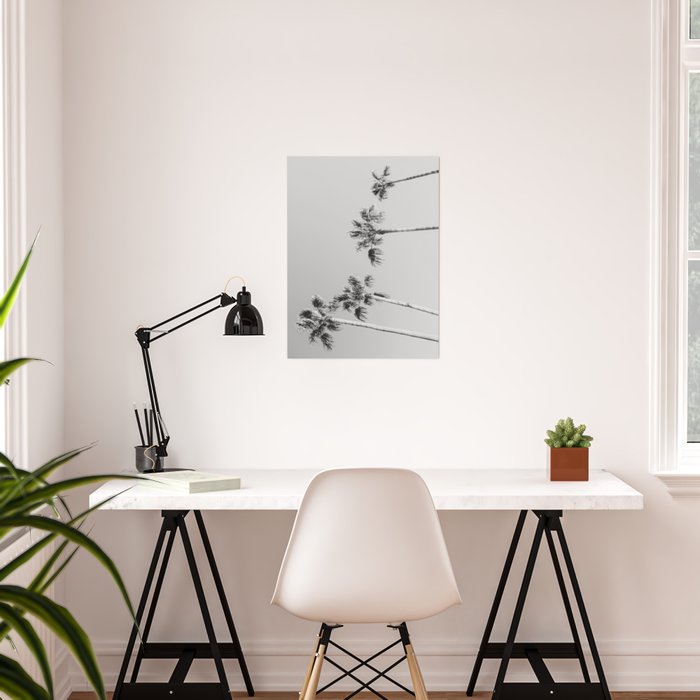 Black Palms Monotone Gray Beach Photography Vintage Palm Tree
